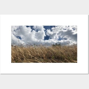 Believe, hope and be happy. Picturesque cumulus cloud scenery with windy bush plants Posters and Art